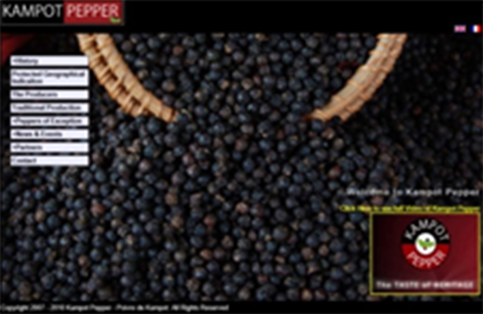 Onion Dark Website